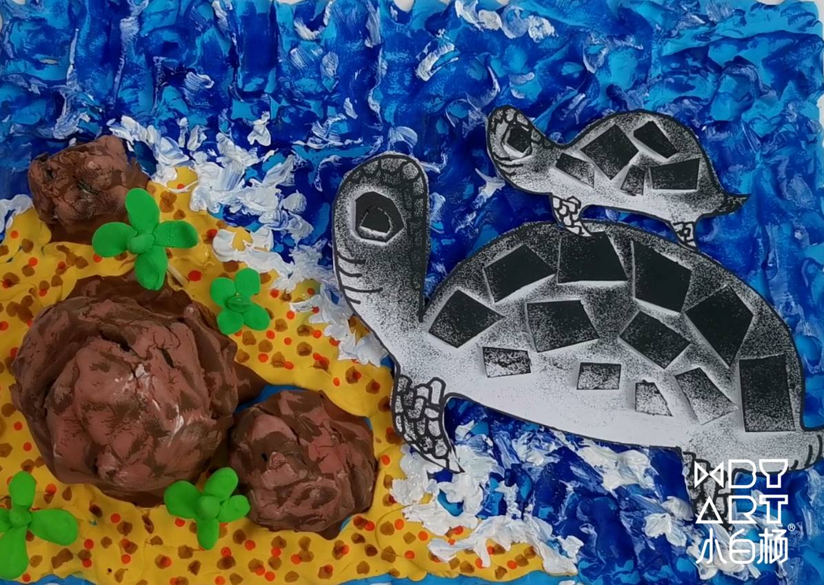 小海龟的神奇之旅
